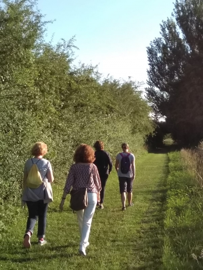 Mindful Walk Cursus